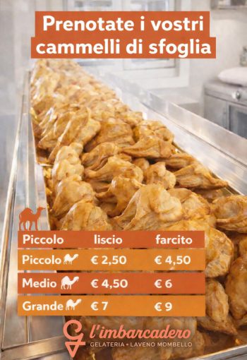 WhatsApp Image 2026-01-03 at 15.48.59